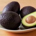 Description and history of selection of the Haas avocado variety, application and how it differs from the usual