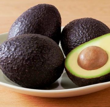 Description and history of selection of the Haas avocado variety, application and how it differs from the usual