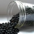 Useful and harmful properties of black beans for health, description of varieties