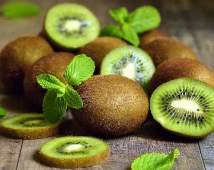 Manfaat dan keburukan kiwi untuk kesihatan manusia dan apabila lebih baik memakan buahnya, resipi kosmetologi