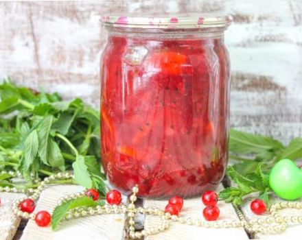 3 recettes faciles pour la confiture de groseille rouge et de pomme pour l'hiver