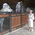 How to build and equip stables for horses, dimensions and schemes of a stable