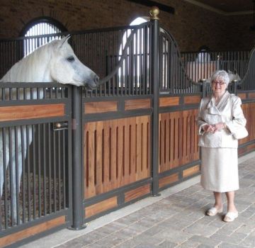 How to build and equip stables for horses, sizes and schemes of a stable