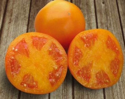 Description of the Aisan tomato variety and its characteristics