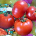 Ciri-ciri dan keterangan varieti tomato Max, hasilnya