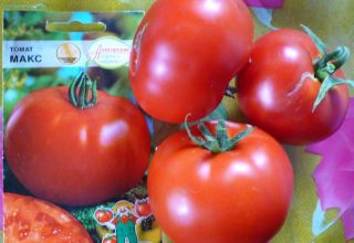 Caractéristiques et description de la variété de tomates Max, son rendement