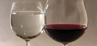 Why dilute grape wine with water and the 4 best homemade recipes