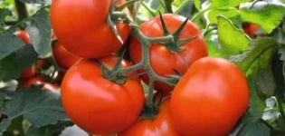 Description de la variété de tomate Fletcher F1 et de ses caractéristiques