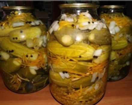 Recipe for pickling cucumbers in Czech for the winter