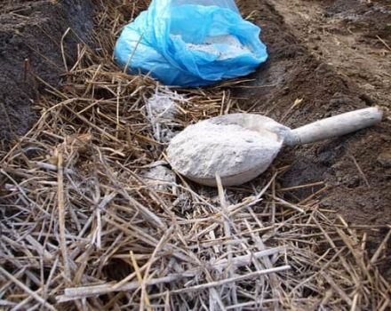 ¿Cómo preparar y aplicar cenizas como fertilizante en el jardín?