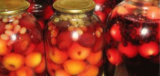 TOP 9 recepten voor het maken van diverse fruitcompote voor de winter