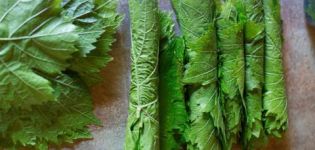 Recetas de hojas de uva en conserva de Dolma