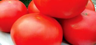 Ciri-ciri varieti tomato Ural F1, hasil dan ciri teknologi pertanian