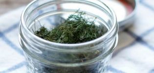 TOP 10 recipes on how to salt dill at home for the winter in jars, proportions