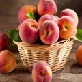 TOP 14 recipes for peach preparations for the winter at home