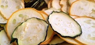 3 meilleures recettes pour faire des courgettes séchées pour l'hiver