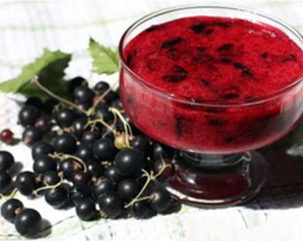 Simple recipes for making raspberry and currant jam for the winter