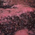 Las 5 mejores formas de detener la fermentación del vino en casa