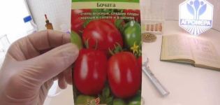 Descripción de la variedad de tomate Bochata, características y cultivo.