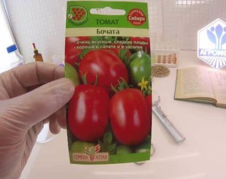 Description of the tomato variety Bochata, characteristics and cultivation