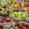 Cómo mantener las manzanas frescas para el invierno en casa.