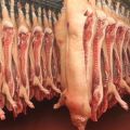 Table for calculating the yield of pork meat from live weight, how to measure and calculation by the formula