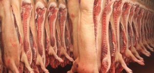 Tabela para cálculo do rendimento da carne suína a partir do peso vivo, como medir e cálculo pela fórmula