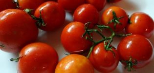 Ciri-ciri dan penerangan mengenai varieti tomato Far North, hasilnya