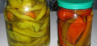 TOP 10 recipes for cooking spicy pepper for the winter, with and without sterilization