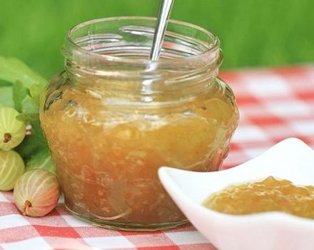 TOP 2 resipi kismis hitam dan jeli gooseberry untuk musim sejuk