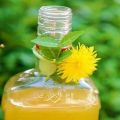 6 best homemade dandelion wine recipes