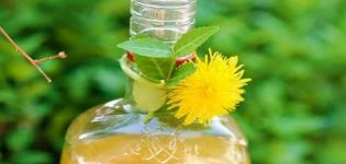 6 best homemade dandelion wine recipes