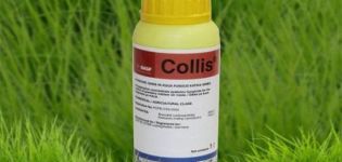 Instructions for use of the fungicide Collis, mechanism of action and consumption rates