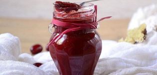 Une recette simple pour la confiture de cornouiller sans pépins pour l'hiver