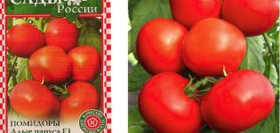 Description of the variety of tomatoes Scarlet sails and their characteristics