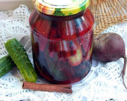 Una receta paso a paso de pepinos en escabeche con remolacha para el invierno.