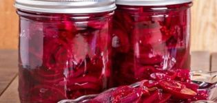 9 resipi terbaik untuk menuai bit untuk borscht untuk musim sejuk di rumah