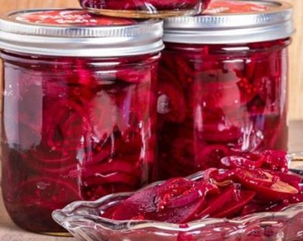 9 mejores recetas para cosechar remolacha para borscht para el invierno en casa