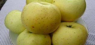 Description de la variété de pomme à sucre jaune et rendement, histoire de la sélection et régions de culture