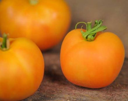 Ciri-ciri dan penerangan mengenai varieti tomato Peach, hasilnya