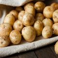 Los beneficios y daños de las patatas jóvenes, cómo germinar y cuándo plantar.