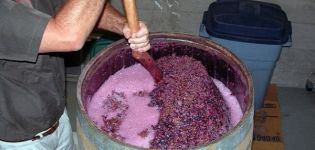 8 simple recipes for making wine from grapes at home