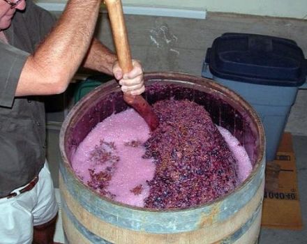 8 simple recipes for making wine from grapes at home