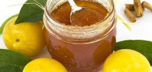 5 best recipes for making cherry plum jam for the winter