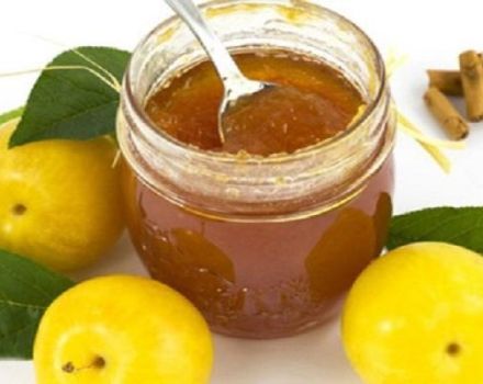 5 best recipes for making cherry plum jam for the winter