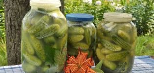 9 best recipes for canning cucumbers with cold water