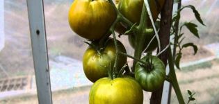 Beschrijving van de groene tomatensoort Kiwi en zijn kenmerken