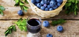 15 best blueberry recipes for the winter