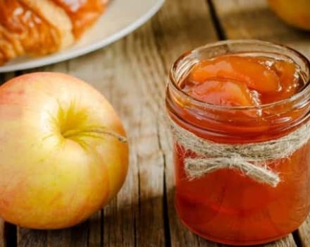 TOP 3 recipes for making sweet apple jam for the winter