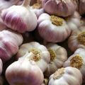 Description of the Bashkir 85 garlic variety, features of cultivation and care